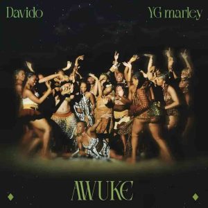 Read more about the article Download Music Mp3:- Davido Ft YG Marley – Awuke