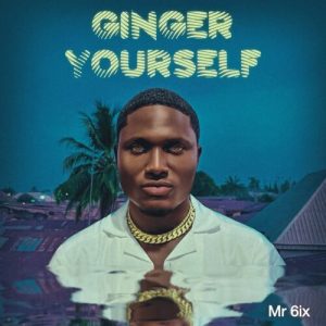 Read more about the article Download Music Mp3:- Mr 6ix – Ginger Yourself