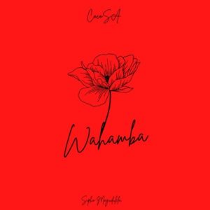 Read more about the article Download Music Mp3:- CocoSA & Sipho Magudulela – Wahamba ft. Ssips & NeleSA
