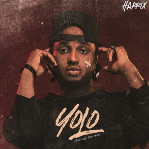 Read more about the article Download Music Mp3:- Harrix – YOLO