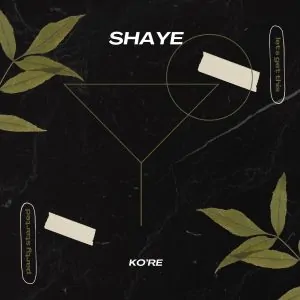 Read more about the article Download Music Mp3:- Ko’re – Shaye