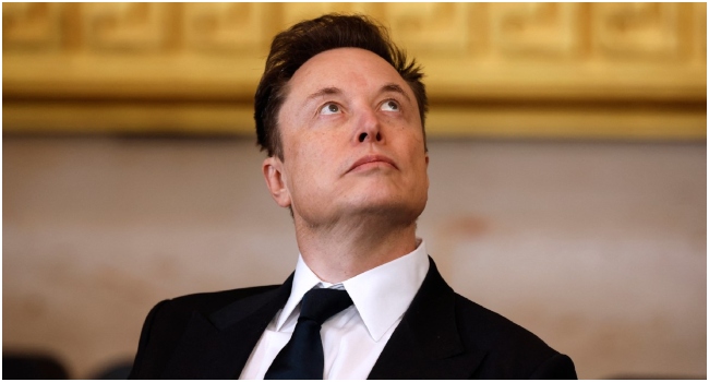 Read more about the article Tesla Sales Fall In Germany After Musk Backs Far Right