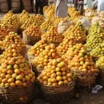 Man Kills Brother Over Mango In Borno State