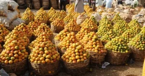 Read more about the article Man Kills Brother Over Mango In Borno State