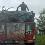 FRSC To Impound Vehicles Moving Animals With Humans