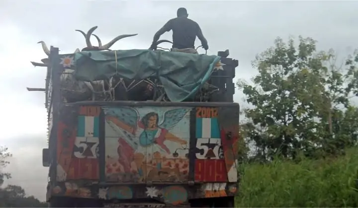 You are currently viewing FRSC To Impound Vehicles Moving Animals With Humans