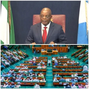 Read more about the article House of Reps Warns Rivers Sole Administrator Against Making Laws, Says He Has No Powers To Do Such