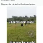 Armed Herders Clash With Security Forces In Yenagoa Forest (Video)