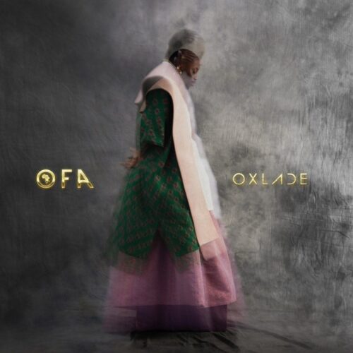 Read more about the article Download Music Mp3:- Oxlade – DOINGZ