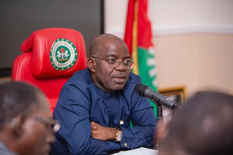 Read more about the article Court Stops Abia Government From Appointing New Judges