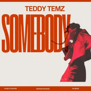 Read more about the article Download Music Mp3 :- Teddy Temz – Somebody