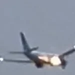 Plane Makes Emergency Landing After Rabbit Gets Sucked Into Engine