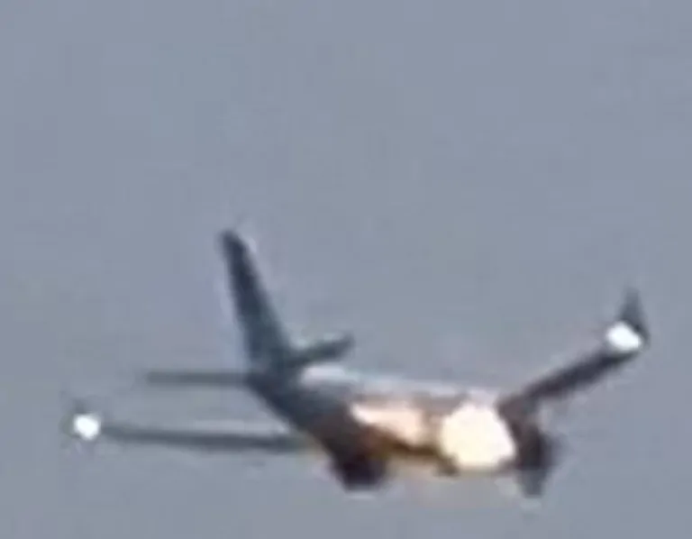 You are currently viewing Plane Makes Emergency Landing After Rabbit Gets Sucked Into Engine