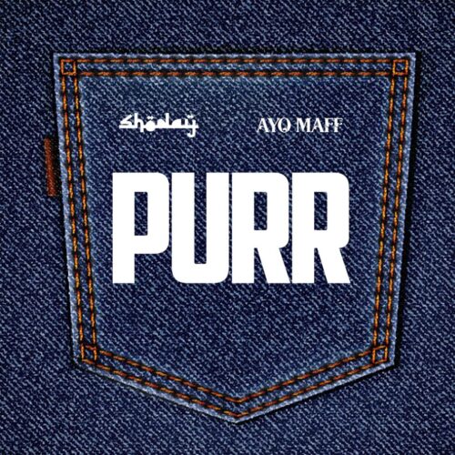 Read more about the article Download Music Mp3:- Shoday ft. Ayo Maff – PURR