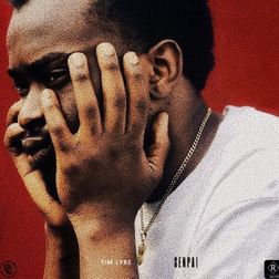 Read more about the article Download Music Mp3:- Tim Lyre & Show Dem Camp – Economy