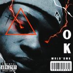 Download Music Mp3:- WRLD’DMK  – Ok