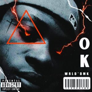 Read more about the article Download Music Mp3:- WRLD’DMK  – Ok