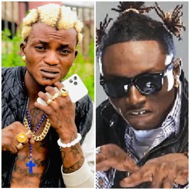 Read more about the article Comparing Me With Portable Is Disrespectful – TerryG