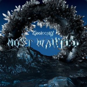 Read more about the article Download Music Mp3:- Zinoleesky – Most Wanted