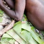 Read more about the article Swarm Of Bees Attacks and K!lls Farmer, Injure Two Others In Osun Farm