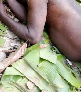 Read more about the article Swarm Of Bees Attacks and K!lls Farmer, Injure Two Others In Osun Farm