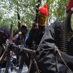 Terrorists Storm Community, Kill 13 Vigilantes