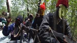 Read more about the article Terrorists Storm Community, Kill 13 Vigilantes