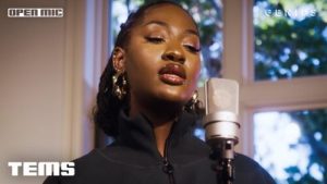 Read more about the article Tems’ Ethereal Higher Performance Steals The Show At Dreamville Fest