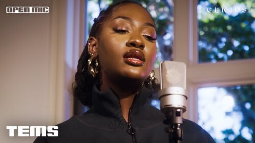 Read more about the article Tems’ Ethereal Higher Performance Steals The Show At Dreamville Fest