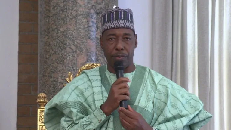 Read more about the article We Are Losing Ground To Boko Haram – Governor Zulum Cries Out Over Attacks