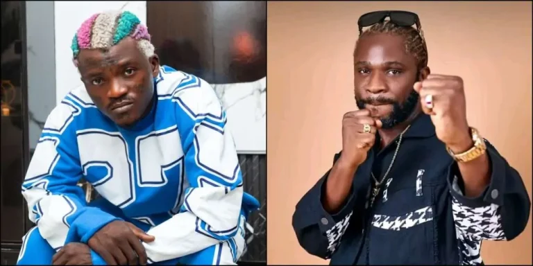 Read more about the article I Made 70 Million Naira In 3 Days From Fighting Speed Darlington – Portable