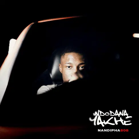 Read more about the article Nandipha808 & Nation Deep – Call SOS