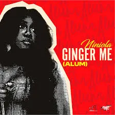 You are currently viewing Download Music Mp3:- Niniola – Ginger Me (Alum)