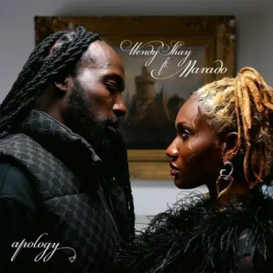 Read more about the article Download Music Mp3:- Wendy Shay – Apology Ft. Mavado