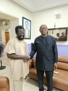 Read more about the article 2027: I’ll Still Vote Peter Obi, Says Farotimi