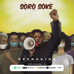 Read more about the article Video: Soro Soke: Peedaking’s Powerful New Anthem is Here!