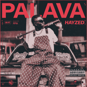 Read more about the article Hayzed – Palava