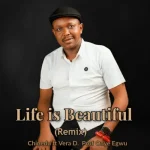 Read more about the article CHINEDU – Life Is Beautiful (LA VIE EST BELLE) Remix Ft. Vera D & Professor Onye Egwu