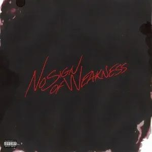 Read more about the article Burna Boy Set To Drop 8th Studio Album “No Sign Of Weakness”, July 11th