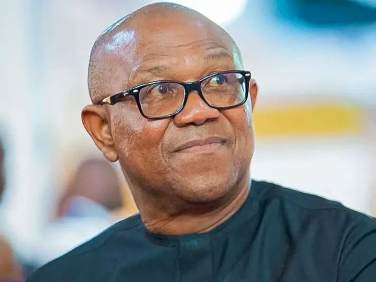 Read more about the article If I Become President, I Won’t Rule By Decree, Nigerians Will Feel The Difference — Peter Obi