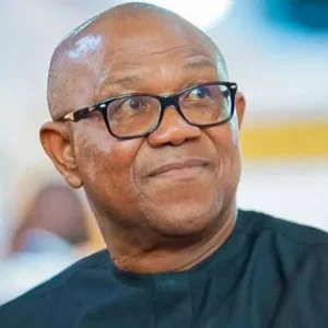 Read more about the article PDP Begs Peter Obi And Others To Return To Party