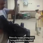 Man Arrives Hospital Carrying Live Snake That Bit Him