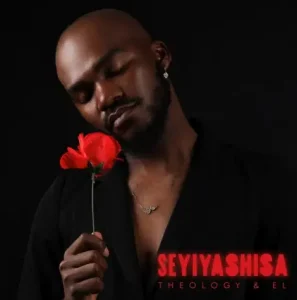 Read more about the article Download Music Mp3:- Theology HD – Seyiyashisa