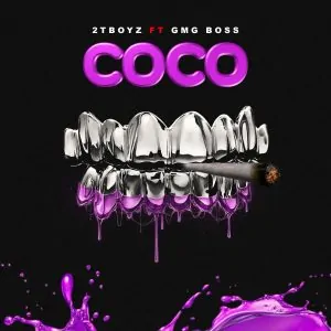 Read more about the article Download Music Mp3:- 2TBoyz – COCO Ft GMG Boss