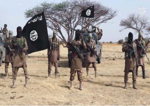 Read more about the article Two Minors Escape From Boko Haram’s Den Four Years After Abduction