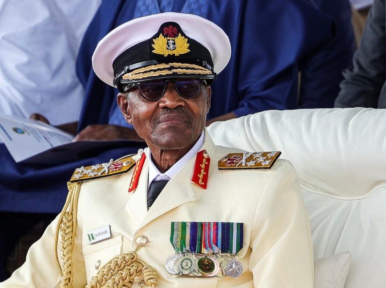 Read more about the article Buhari Was Not Comfortable With Politics, But Kept Trying – UN Deputy Chief