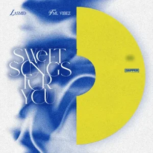 Read more about the article Lasmid & TML Vibez – Need Your Love