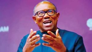 Read more about the article ‘We Have Not Endorsed Peter Obi Or Taken Any Position On 2027 Election’ – Ohanaeze