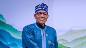 Read more about the article What I Found Out On Buhari-Jubril’s Cloning Rumour When I Visited Aso Rock – Ex-Commissioner