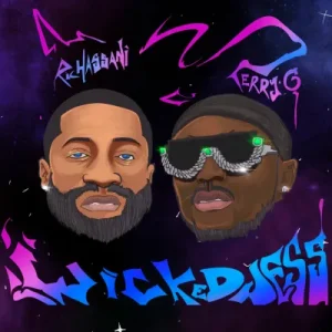 Read more about the article Ric Hassani Ft. Terry G – Wickedness